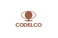 NLT-Clients-Codelco